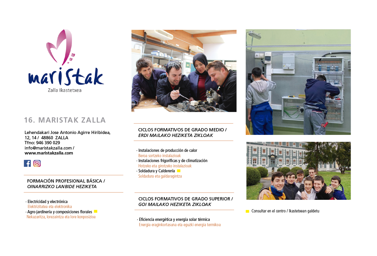 ficha Maristak zalla