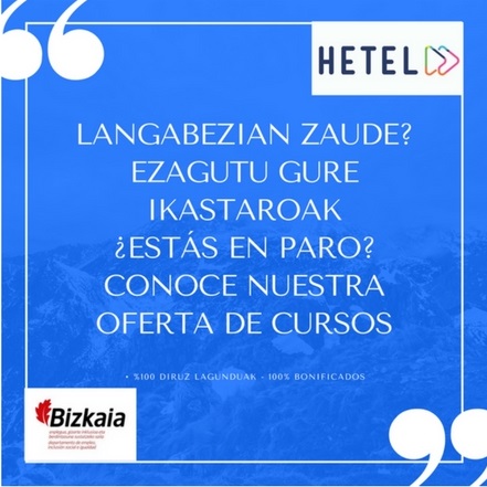 bizkaiko foru aldundia