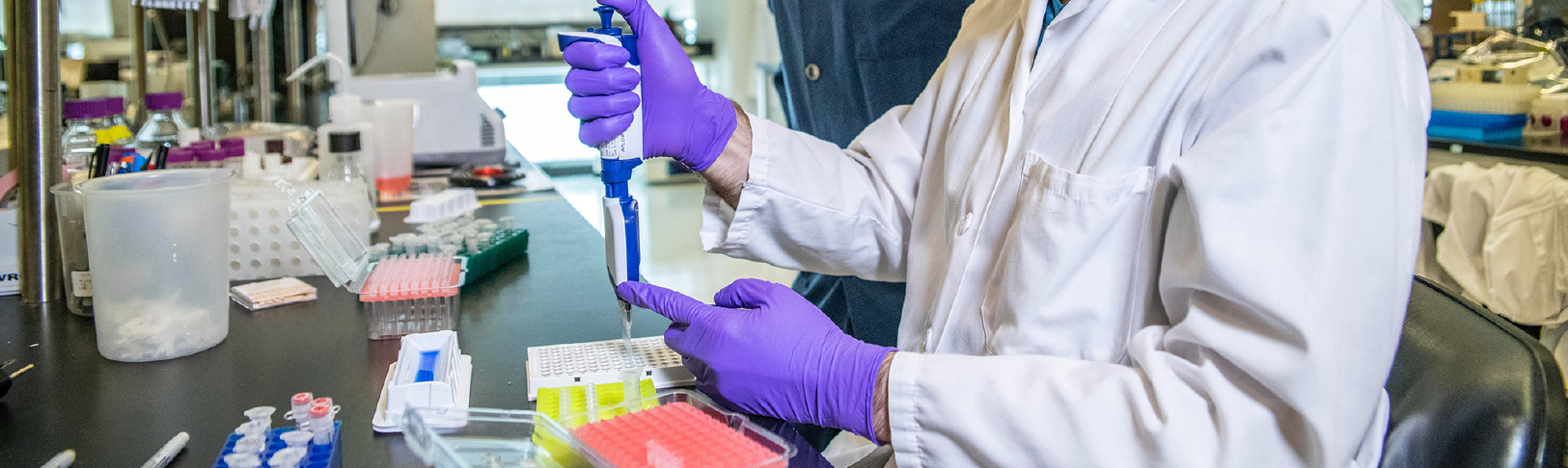 HETEL IND. ALIMENTARIAS