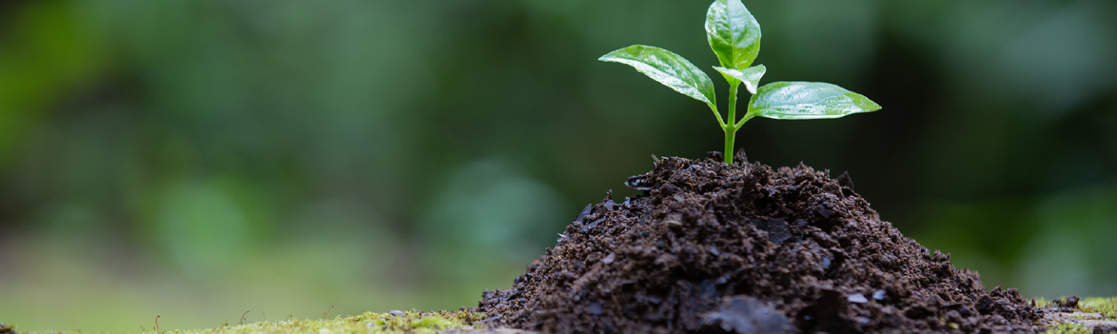 HETEL MEDIO AMBIENTE